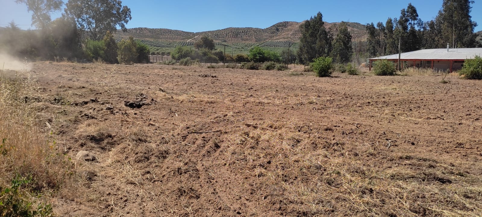 Parcela De 1.4 Hectareas, con ROL, Camino San José De Marchigue, Pichidegua